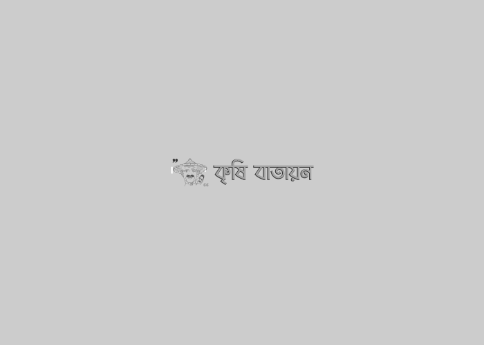 জাতীয় সবজি   মেলা ২০১৯